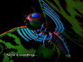 Thumbnail for version as of 05:08, 21 May 2024