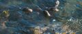 Thumbnail for version as of 05:12, 26 April 2024