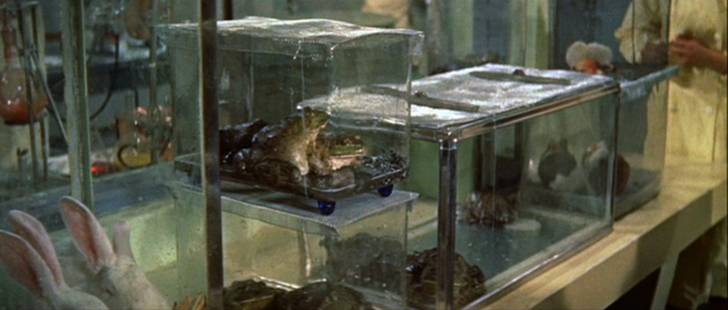 File:Liquid Toad - 1.png