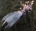 Thumbnail for version as of 22:40, 5 January 2024
