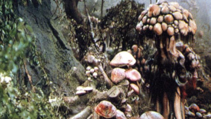 File:Matango.png
