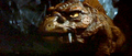 Thumbnail for version as of 13:27, 6 February 2020