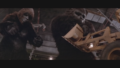 Thumbnail for version as of 01:50, 28 December 2019