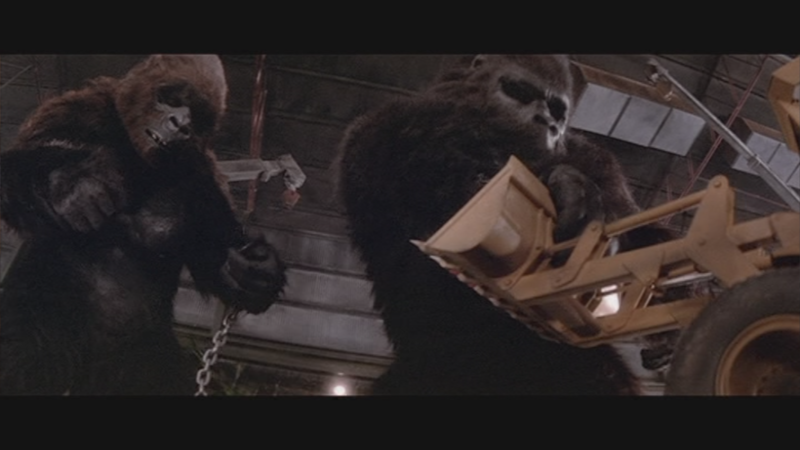 File:The Two Kongs Do What Kongs Do Best.png