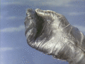 Thumbnail for version as of 03:00, 17 June 2018
