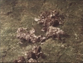 Thumbnail for version as of 17:57, 23 July 2016