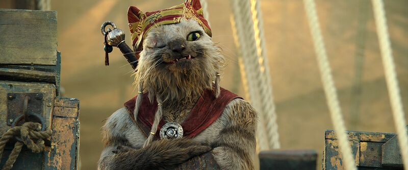 File:CAT.jpeg