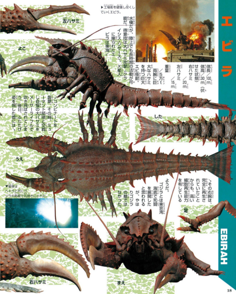 File:FWEbirahFull.png