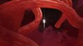 Thumbnail for version as of 18:24, 19 May 2021