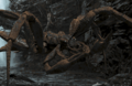 Thumbnail for version as of 23:46, 13 March 2017
