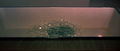 Thumbnail for version as of 20:35, 19 May 2017