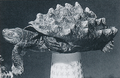 Thumbnail for version as of 03:57, 7 January 2019