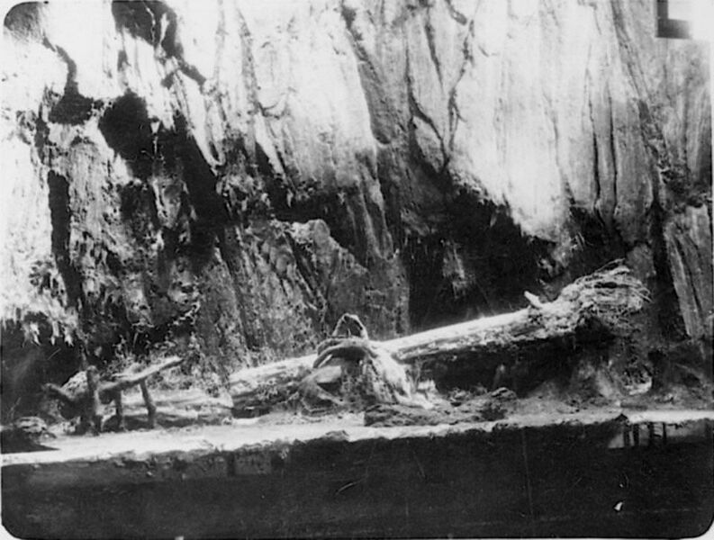 File:Spiderpit spider and speared sailor.jpg