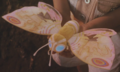Thumbnail for version as of 20:39, 28 August 2024