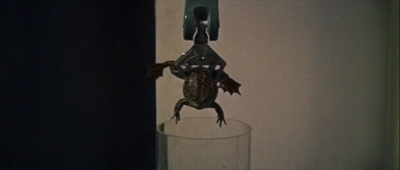 File:Liquid Toad - 9.png