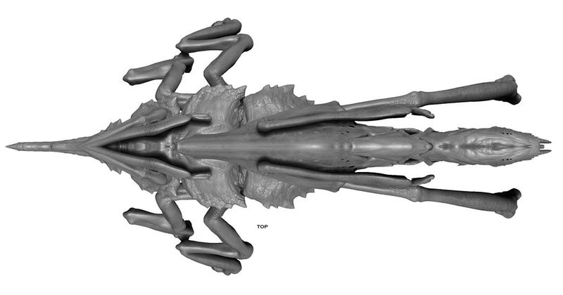 File:Parasite4.jpg
