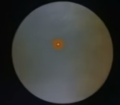 Thumbnail for version as of 12:37, 14 July 2019
