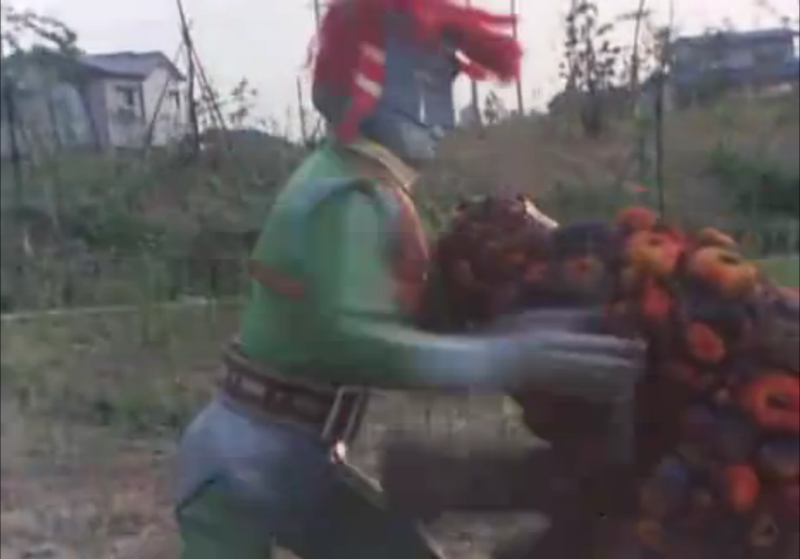 File:Greenman battling Iho.png