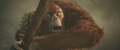Thumbnail for version as of 00:06, 6 June 2024