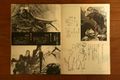 Thumbnail for version as of 18:05, 23 July 2016