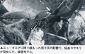 Thumbnail for version as of 04:09, 7 January 2019
