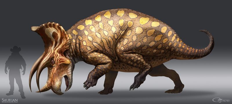 File:Triceratops Prorsus.jpeg