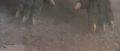 Thumbnail for version as of 19:10, 18 March 2023