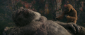Thumbnail for version as of 23:58, 19 March 2024