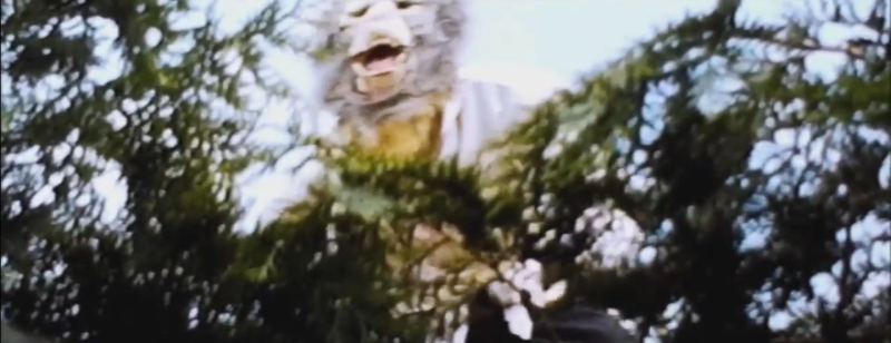 File:TreeWolfman2.png