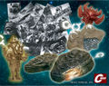 Thumbnail for version as of 04:48, 25 December 2016