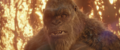 Thumbnail for version as of 20:43, 19 May 2024