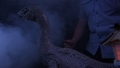 Thumbnail for version as of 17:34, 6 December 2020