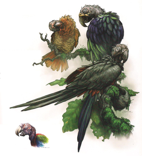 File:Carrion Parrots.png