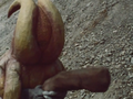 Thumbnail for version as of 20:01, 18 July 2021
