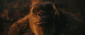 Thumbnail for version as of 23:43, 18 May 2024