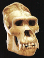 Thumbnail for version as of 19:12, 20 January 2018