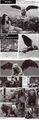 Thumbnail for version as of 11:58, 20 August 2021