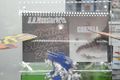 Thumbnail for version as of 23:01, 5 July 2016