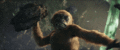 Thumbnail for version as of 23:11, 15 February 2024