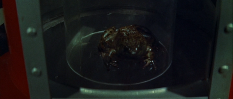 File:Liquid Toad - 2.png