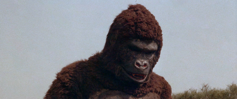 File:APE-South-Korea-February-2020-06.png