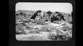 Thumbnail for version as of 22:39, 7 September 2020