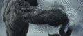 Thumbnail for version as of 21:28, 24 May 2024