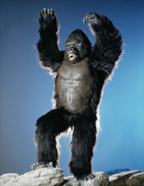 File:King Kong 1986 Still.jpg
