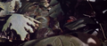 Thumbnail for version as of 23:20, 5 July 2016