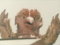 Thumbnail for version as of 23:31, 7 July 2016