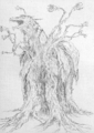 Thumbnail for version as of 22:31, 5 July 2016