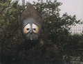 Thumbnail for version as of 23:16, 7 July 2016