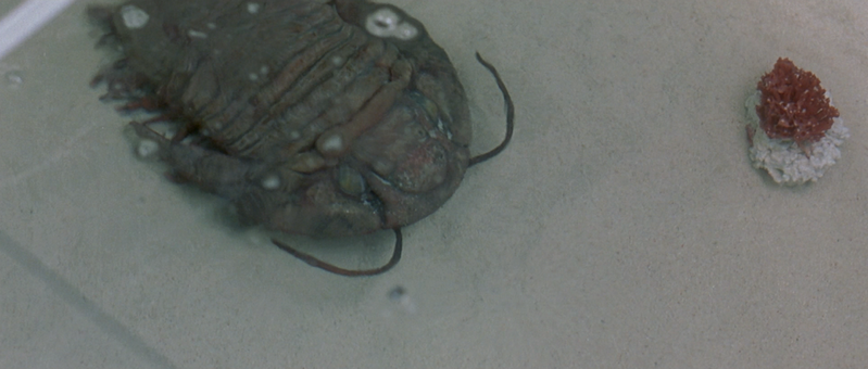 File:Mecha-Trilobite 1.png