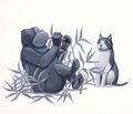 Thumbnail for version as of 21:00, 17 April 2023